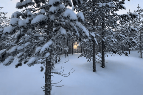 Levi: Private Snowshoe Walk with Tesla Pickup & Drink