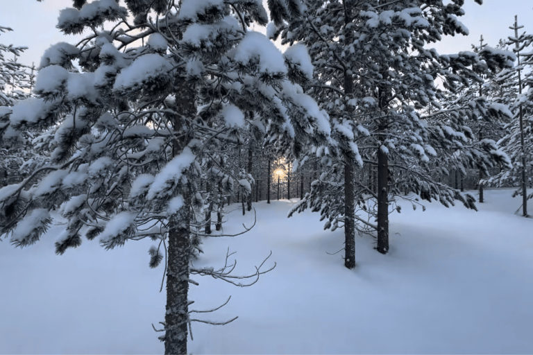 Levi: Private Snowshoe Walk with Tesla Pickup & Drink