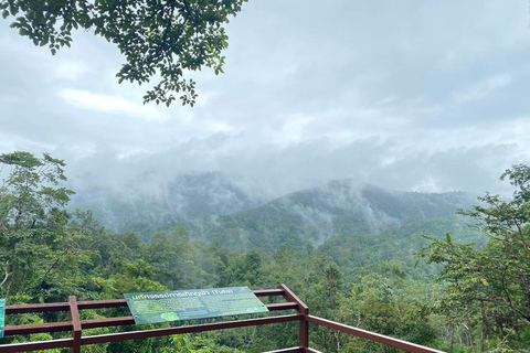 Temple de Doi Suthep, ferme d&#039;orchidées et cascade de Sticky avec déjeuner