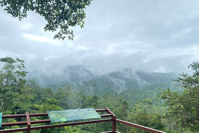 Doi Suthep Tempel, Orchideeën Hoeve &amp; Kleverige Waterval met Lunch