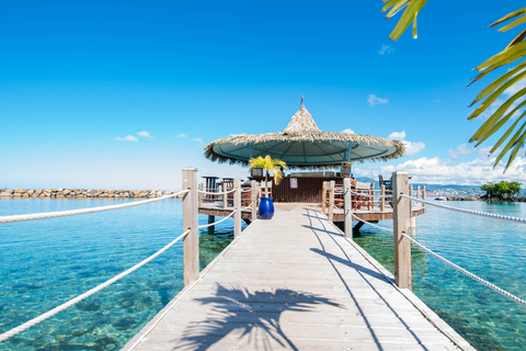 Private Island Tour of Martinique with Local Driver-Guide