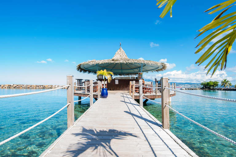 Private Island Tour of Martinique with Local Driver-Guide