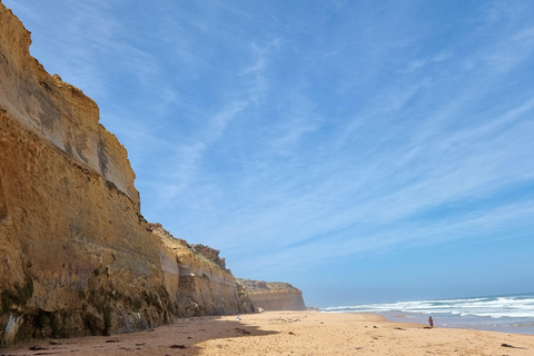 Great Ocean Road Premium Tour - Máximo de 11 passageiros