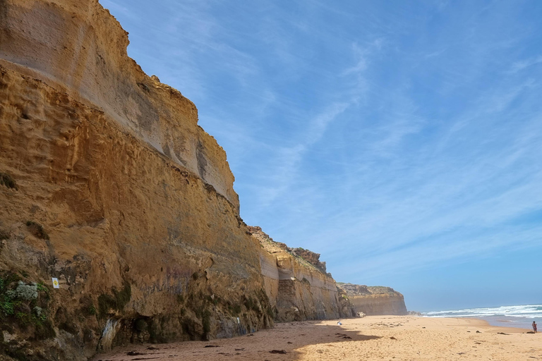 Great Ocean Road Premium Tour - Max 11 Passagiere