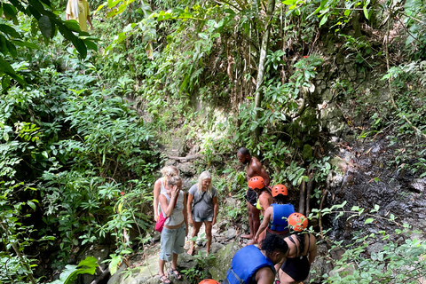 Tobago: Argyle Waterfall Adventure