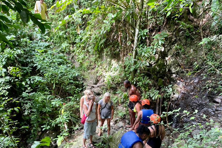 Tobago: Argyle Waterfall Adventure