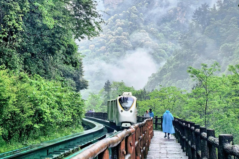 2-Day ZJJ Forest Hike: Conquer the Avatar Mountains on Foot 2-Day Zhangjiajie: Conquer the Avatar Mountains on Foot