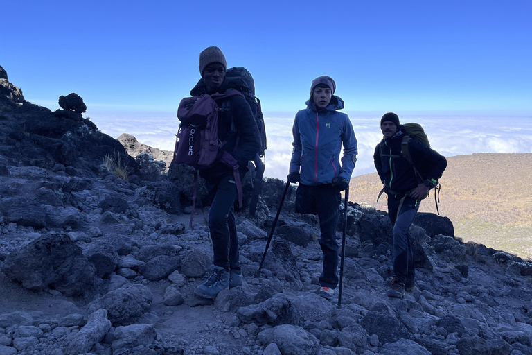 Moshi: scalata del Kilimangiaro in 6 giorni attraverso il percorso Rongai