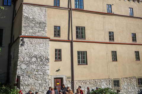 克拉科夫二战徒步之旅（英语讲解）第二次世界大战克拉科夫徒步之旅