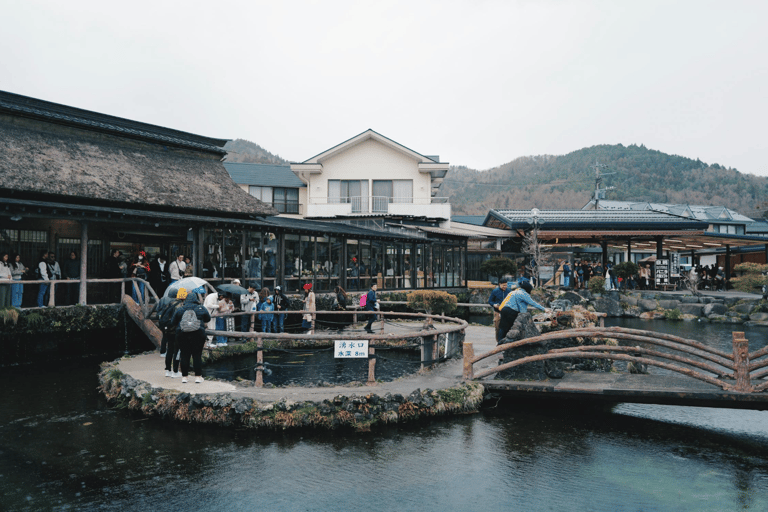 From Tokyo: Mount Fuji Full Day Customizable Private Tour