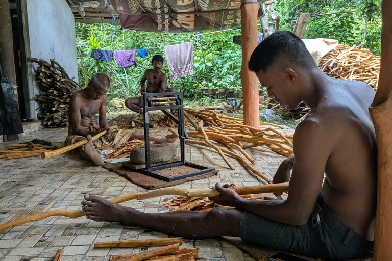 Mirissa: Cinnamon Garden Tour with Peeling Class