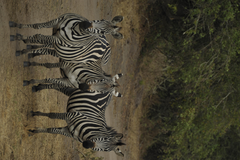 Uganda: 3-Day Lake Mburo National Park Adventure Tour