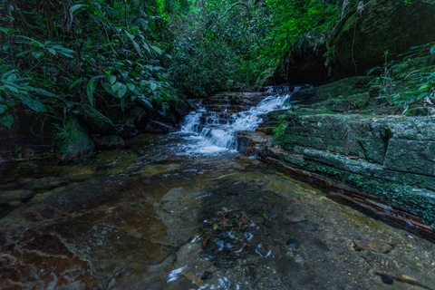 Excursion au départ du port de Rio de Janeiro : Christ Rédempteur