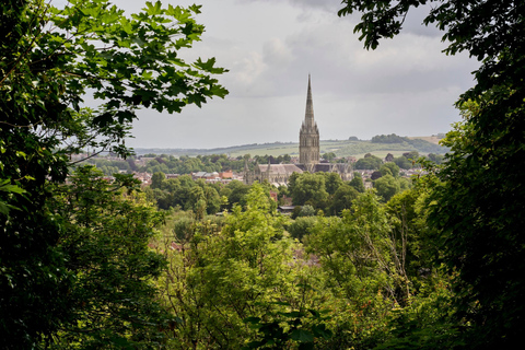 Bath: Stonehenge & Salisbury Private Tour with Archaeologist