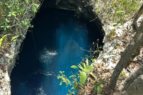 Cancun 2 Cenote Dives: The Pit & Dos Ojos - Certified Divers