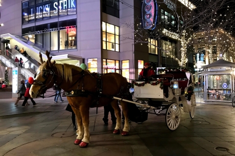Denver : Holiday Lights & History Walking Tour (visite à pied des lumières de Noël et de l'histoire)Denver : Visite à pied des lumières de Noël et de l'histoire