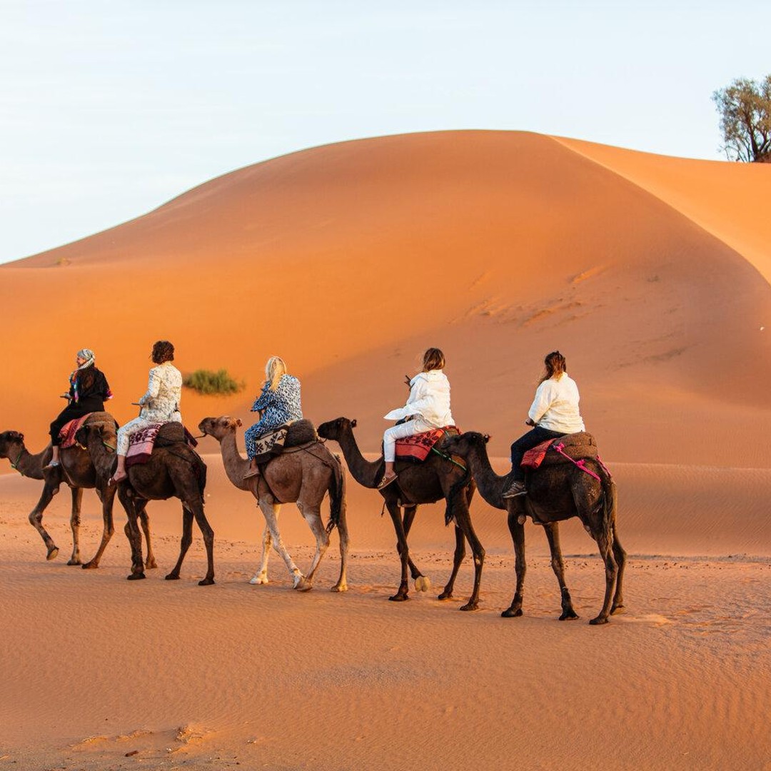 Merzouga : 1-Nuit au campement de luxe. Balade à dos de chameau & Dîner