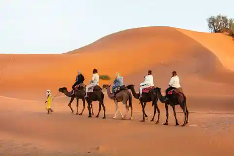Merzouga: 1-Night in the luxury camp. camel ride & Dinner