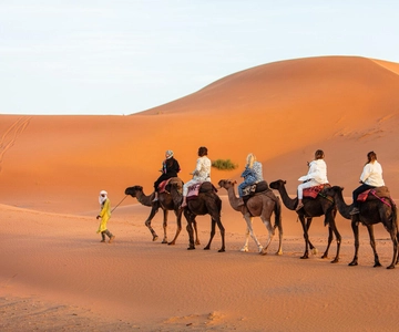 Merzouga: 1-Night in the luxury camp. camel ride & Dinner