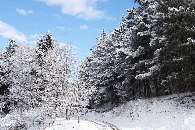 Excursión de un día en invierno a Garni, Geghard, Sevan y Tsaghkadzor