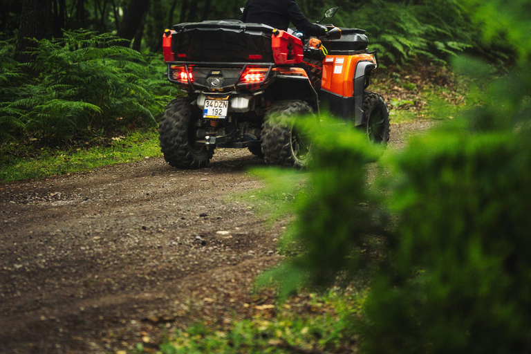 Batumi: Fuga Extrema – ATV, Parasailing e Chacha BreakBatumi: Fuga extrema – ATV, parapente e pausa para Chacha