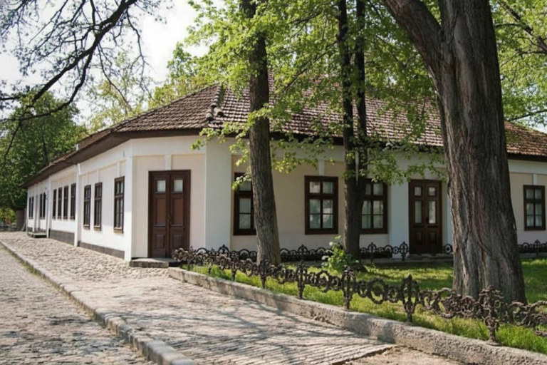 Chisinau: City Heritage Walk with Museum Visits