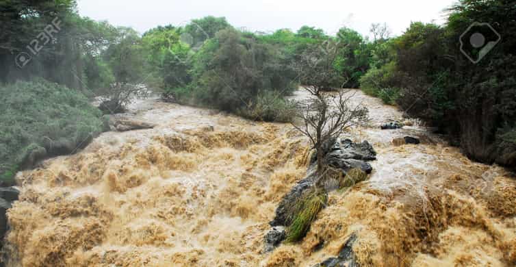 Parque Nacional de Awash Actividades lo MEJOR de 2024 Cancelación