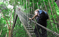Von Kuala Lumpur, Taman Negara National Park Ganztägige Tour - Hizvo