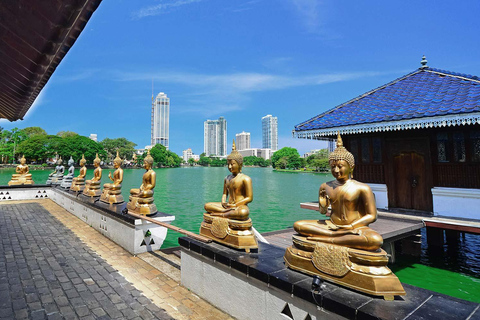 From Colombo: 5-Day Private Sri Lanka Tour with Driver