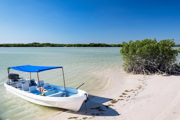 From Merida: Las Coloradas, Rio Lagartos & Beach Tour Desde Mérida: Tour Las Coloradas, Rio Lagartos y Playa