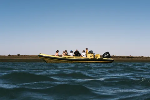 Vanuit Faro: Ria Formosa Eco Tour onder leiding van een mariene bioloog