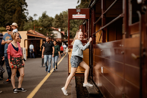 Melbourne : Visite de la parade des pingouins et promenade en train avec Puffing Billy