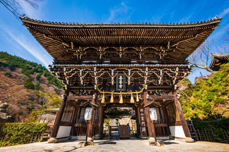 From Osaka/Kyoto: Kyoto Nara Day Trip Highlights