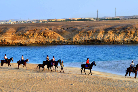 Marsa Alam: Ridning i havet och öknen