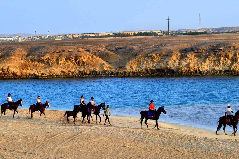 Marsa Alam : Randonnée à cheval dans le désert et la mer