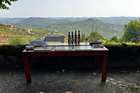 Douro Valley: Quinta Santa Júlia Tour, Wine Tasting & Lunch
