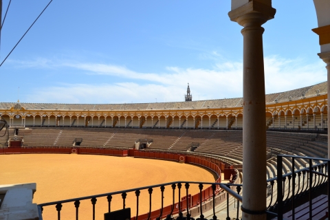 Sewilla: Plaza de Toros i zwiedzanie muzeum po hiszpańsku