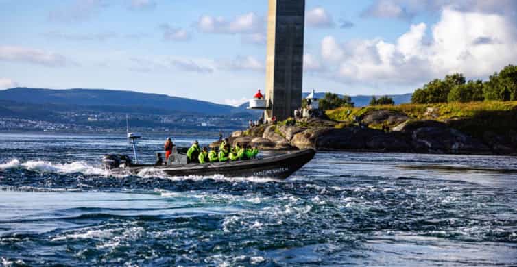 Saltstraumen en RIB et safari aux aigles de mer