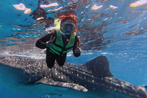 Cebu: Oslob Whaleshark Watching Canyoneering ritiro privato