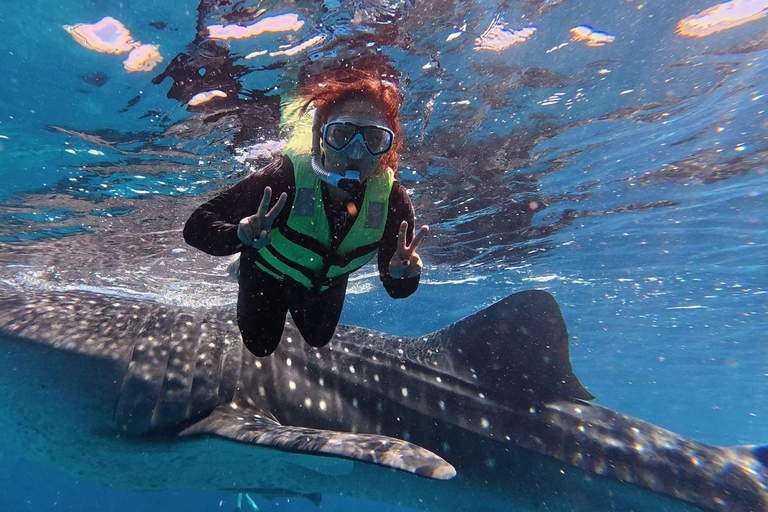 Cebu: Oslob Whaleshark Watching Canyoneering privé ophalen