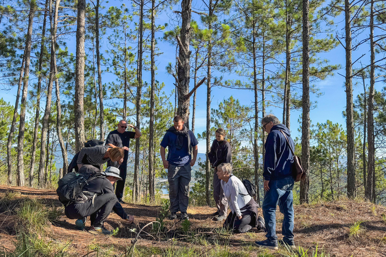 Dalat: Cloud Chasing packaged hike - Sunrise Pickup Included Group Packaged Tour - Free photo & video taken by tour guide