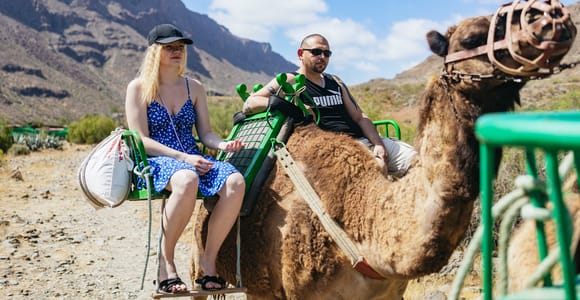 Gran Canaria: Camel Ride Safari w/ Optional Food & Transport