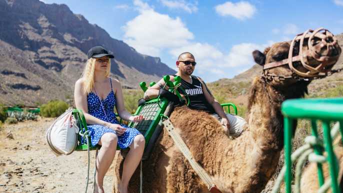 Gran Canaria: Safari en paseo en camello con comida y transporte opcionales