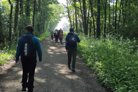 Educational hike in the Anjou vineyards Wine Hike