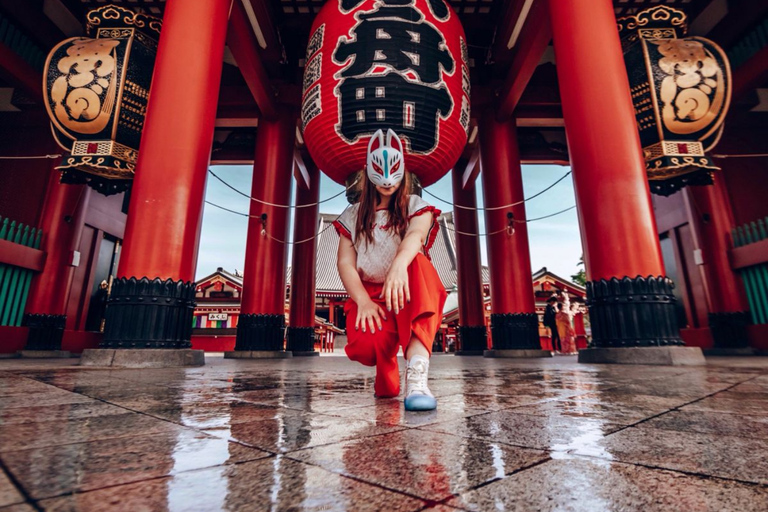 Tokyo City Highlight Private Tour Full Adjustable Itinerary