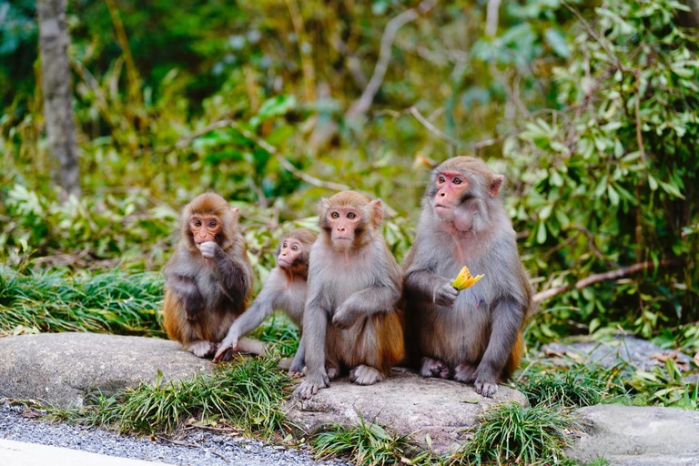 Guilin: Guihai Stele Forest, Fubo Mountain & Tea Tour