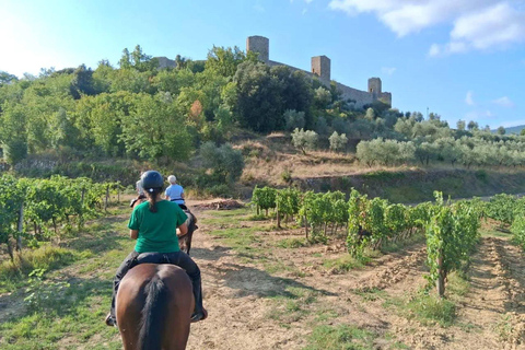 Hills of Pisa: Horseback Riding with Lunch or Dinner in a Restaurant 2-hour ride with lunch or dinner