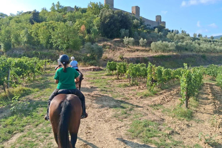 Hills of Pisa: Horseback Riding with Lunch or Dinner in a Restaurant 2-hour ride with lunch or dinner