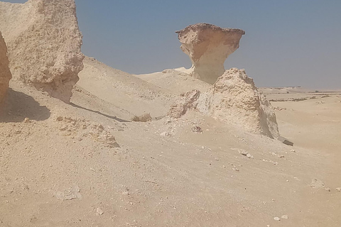 Doha: West Coast Qatar Tour, Sculptures, Camel Racing track From Doha Premium West Qatar Tour