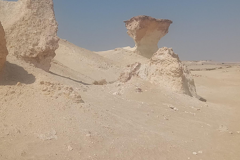 Doha: West Coast Qatar Tour, Sculptures, Camel Racing track From Doha Premium West Qatar Tour